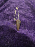 Pendulums
